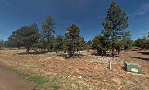 2864 Constellation Ln, Overgaard, AZ 85933 photo 3
