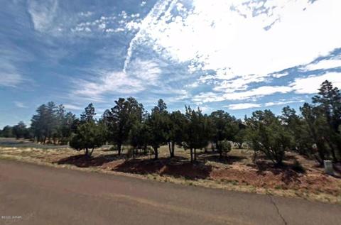 2864 Constellation Ln, Overgaard, AZ 85933 photo 5