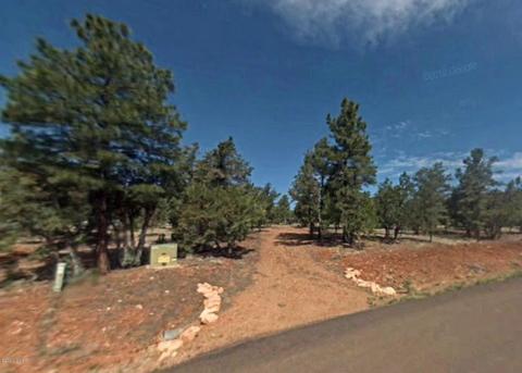 2806 Cougar Ln, Overgaard, AZ 85933 photo 3