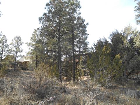 2239 Eagle Ln, Overgaard, AZ 85933 photo 4