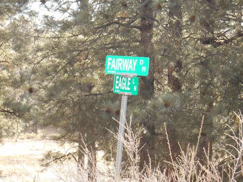 2239 Eagle Ln, Overgaard, AZ 85933 photo 6