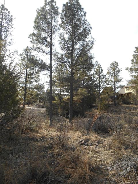 2239 Eagle Ln, Overgaard, AZ 85933 photo 1