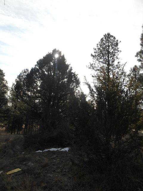 2239 Eagle Ln, Overgaard, AZ 85933 photo 5