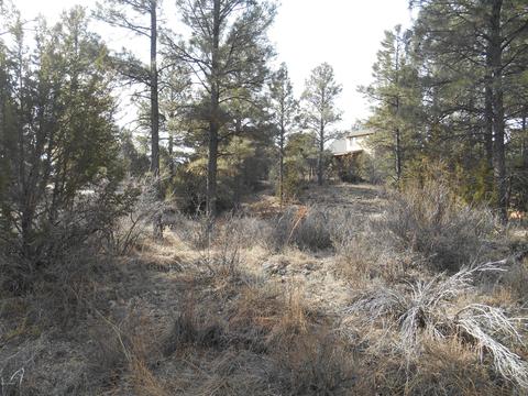 2239 Eagle Ln, Overgaard, AZ 85933 photo 2