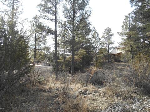 2239 Eagle Ln, Overgaard, AZ 85933 photo 3