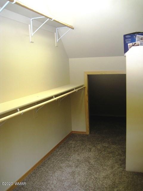 3369 Tree View Path, Overgaard, AZ 85933 photo 29
