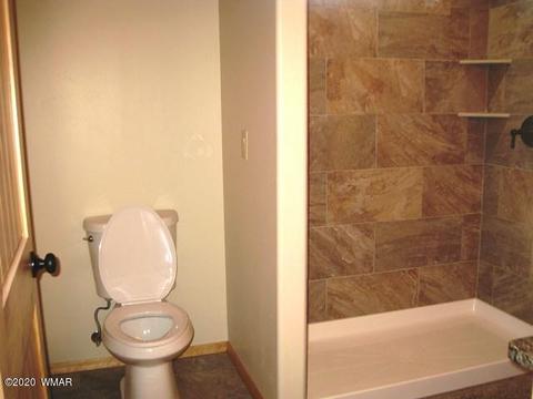 3369 Tree View Path, Overgaard, AZ 85933 photo 31