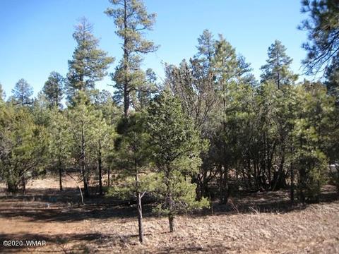 3369 Tree View Path, Overgaard, AZ 85933 photo 39