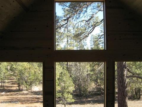 3369 Tree View Path, Overgaard, AZ 85933 photo 35