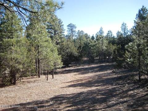 3369 Tree View Path, Overgaard, AZ 85933 photo 38