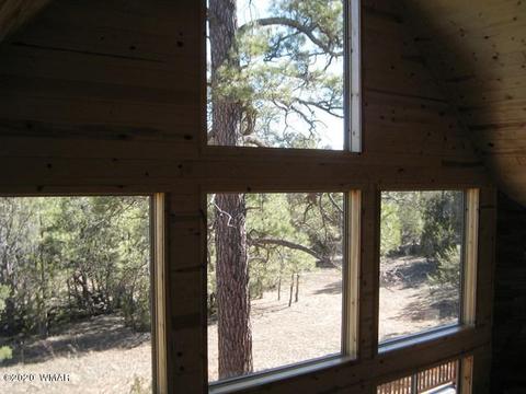 3369 Tree View Path, Overgaard, AZ 85933 photo 36
