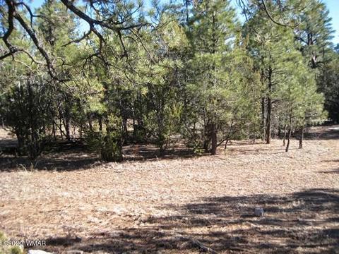 3369 Tree View Path, Overgaard, AZ 85933 photo 40