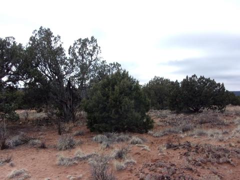 4102 Apache Rd, Snowflake, AZ 85937 photo 2