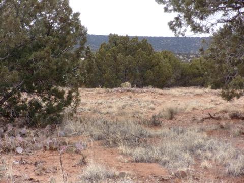 4102 Apache Rd, Snowflake, AZ 85937 photo 3