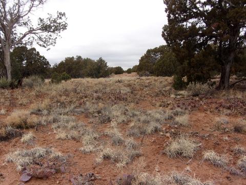 4102 Apache Rd, Snowflake, AZ 85937 photo 1