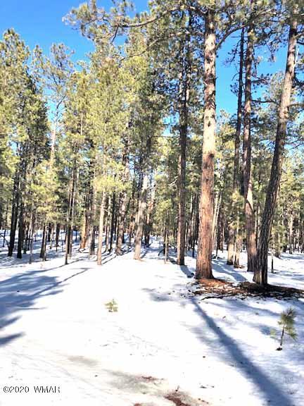 6 County Rd N2083, Alpine, AZ 85920 photo 2