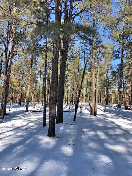 6 County Rd N2083, Alpine, AZ 85920 photo 13