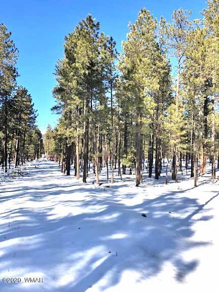 6 County Rd N2083, Alpine, AZ 85920 photo 4