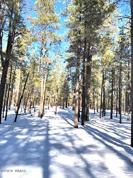 6 County Rd N2083, Alpine, AZ 85920 photo 8
