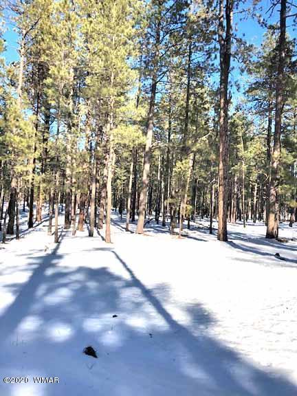 6 County Rd N2083, Alpine, AZ 85920 photo 5