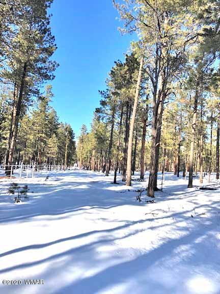 6 County Rd N2083, Alpine, AZ 85920 photo 1