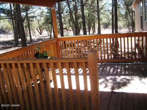 2842 Deer Trl, Overgaard, AZ 85933 photo 9