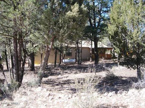 2842 Deer Trl, Overgaard, AZ 85933 photo 39
