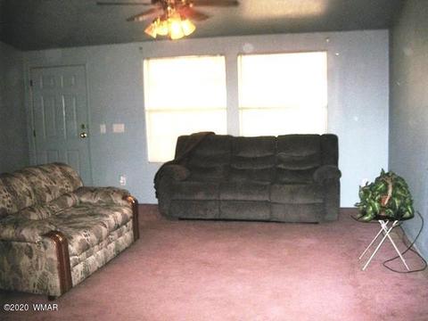 2842 Deer Trl, Overgaard, AZ 85933 photo 11