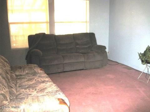 2842 Deer Trl, Overgaard, AZ 85933 photo 13