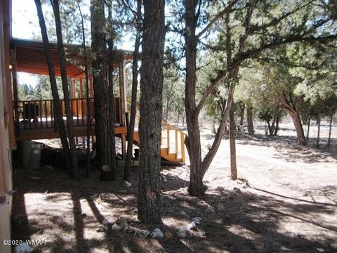 2842 Deer Trl, Overgaard, AZ 85933 photo 40
