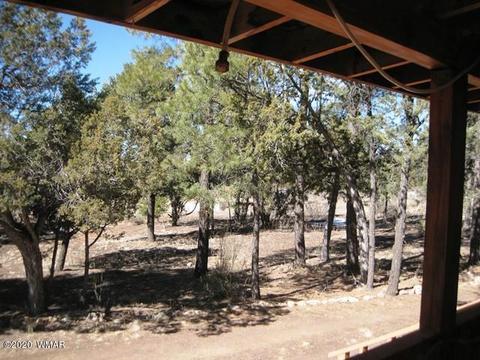 2842 Deer Trl, Overgaard, AZ 85933 photo 34