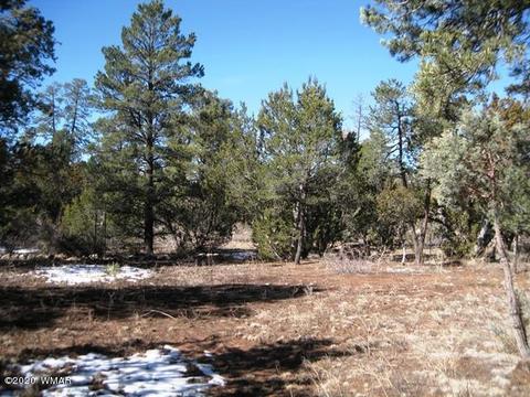 2842 Deer Trl, Overgaard, AZ 85933 photo 31