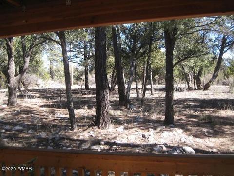 2842 Deer Trl, Overgaard, AZ 85933 photo 37