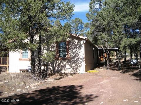 2842 Deer Trl, Overgaard, AZ 85933 photo 6