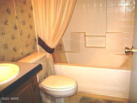 2842 Deer Trl, Overgaard, AZ 85933 photo 15