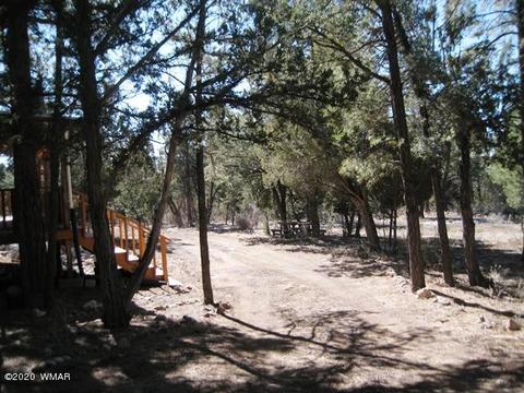 2842 Deer Trl, Overgaard, AZ 85933 photo 35