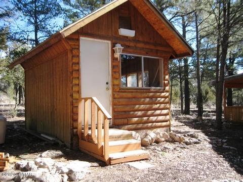 2842 Deer Trl, Overgaard, AZ 85933 photo 29