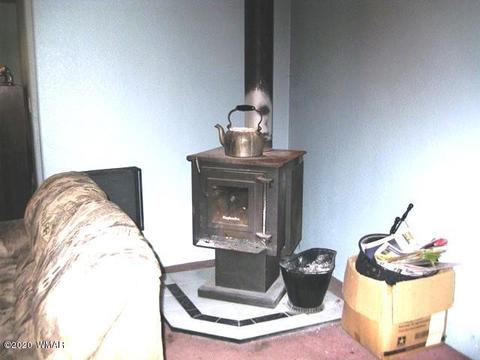 2842 Deer Trl, Overgaard, AZ 85933 photo 12
