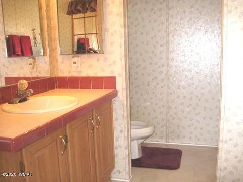 2842 Deer Trl, Overgaard, AZ 85933 photo 27
