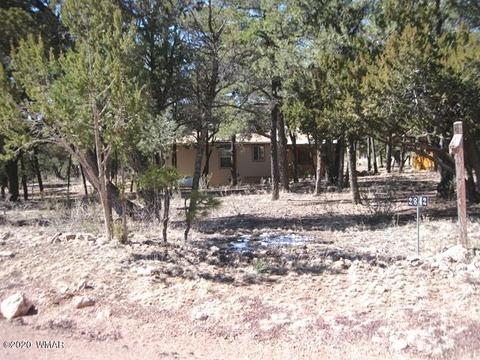 2842 Deer Trl, Overgaard, AZ 85933 photo 41