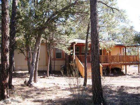 2842 Deer Trl, Overgaard, AZ 85933 photo 4