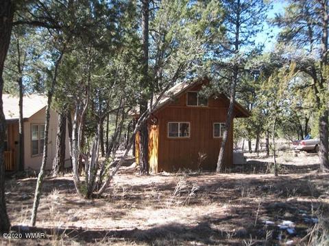 2842 Deer Trl, Overgaard, AZ 85933 photo 28