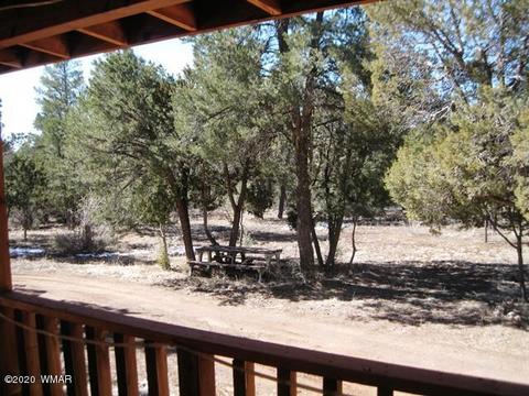 2842 Deer Trl, Overgaard, AZ 85933 photo 33