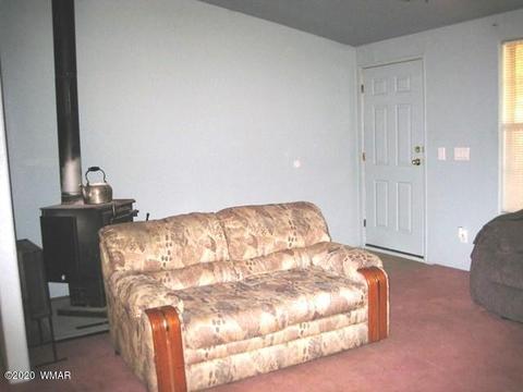 2842 Deer Trl, Overgaard, AZ 85933 photo 10