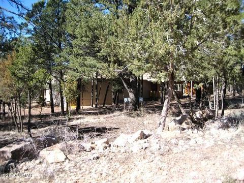2842 Deer Trl, Overgaard, AZ 85933 photo 38