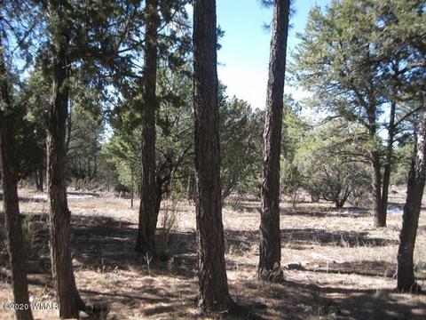 2842 Deer Trl, Overgaard, AZ 85933 photo 32