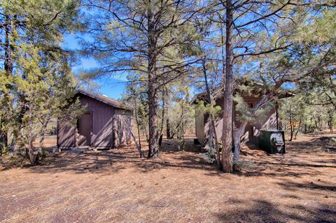 2248 Roundabout Way, Overgaard, AZ 85933 photo 27