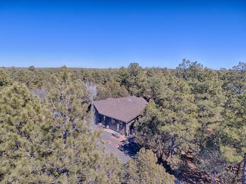 2248 Roundabout Way, Overgaard, AZ 85933 photo 1