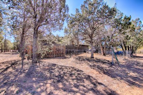 2248 Roundabout Way, Overgaard, AZ 85933 photo 28