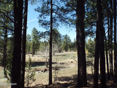 0000 Tbd 4087 Acres, Vernon, AZ 85940